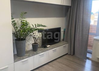 Продается квартира студия, 24 м2, деревня Хохряки, Муромская улица, 3