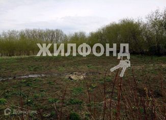 Участок на продажу, 40 сот., село Гусельниково, Сибирская улица