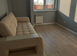 Сдается однокомнатная квартира, 37.6 м2, Киров, улица Архитектора Валерия Зянкина, 9
