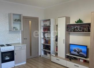 Продается 1-ком. квартира, 24.4 м2, Мурино, Петровский бульвар, 14к5, ЖК Краски Лета