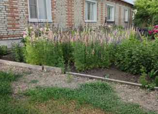Продам дом, 48.8 м2, Алтайский край, улица Мира