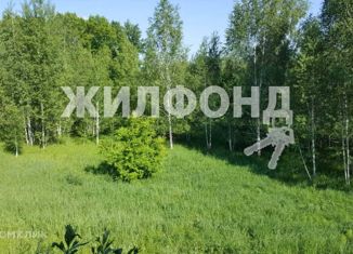Продается земельный участок, 10.76 сот., Новосибирская область