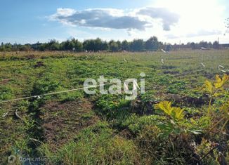 Продается земельный участок, 25 сот., деревня Руссковицы