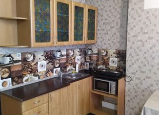 Сдача в аренду квартиры студии, 40 м2, Новосибирск, Вилюйская улица, 3, ЖК Ваш выбор