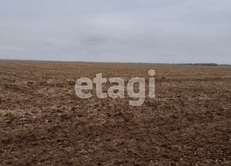 Продажа участка, 450 сот., село Виноградово