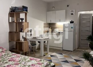 Однокомнатная квартира на продажу, 26.3 м2, Красноярск, улица Карамзина, 16