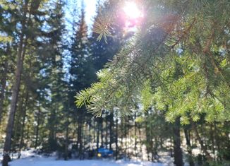 Продается участок, 15 сот., деревня Казанка, Сосновая улица, 3