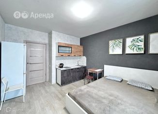 Сдается квартира студия, 24 м2, Ленинградская область, Ручьёвский проспект, 3к1