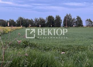 Продается земельный участок, 10 сот., село Саметь, улица П.А. Малининой