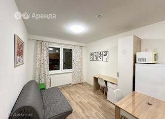 Сдается в аренду 1-комнатная квартира, 32 м2, Санкт-Петербург, Муринская дорога, 25к1, метро Академическая