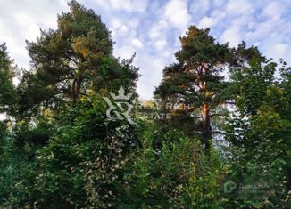 Продается участок, 30 сот., деревня Борки