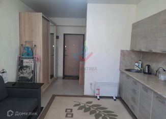 Продаю квартиру студию, 15 м2, село Раздольное, Прямая улица, 14