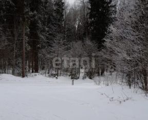 Продается участок, 8 сот., деревня Гришкино Большое, деревня Гришкино Большое, 8