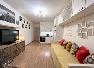 Квартира на продажу студия, 24.5 м2, Санкт-Петербург, проспект Ветеранов, 171к5, муниципальный округ Сосновая Поляна