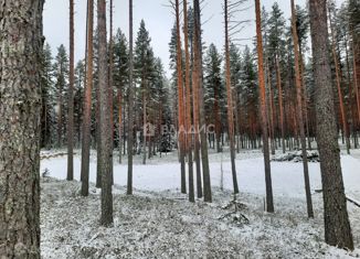 Продается земельный участок, 12 сот., посёлок городского типа Пряжа, Боровая улица