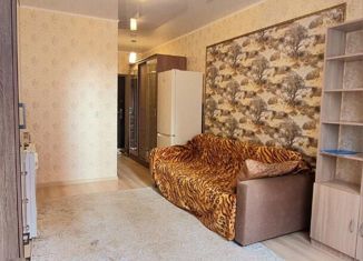 Квартира на продажу студия, 23.4 м2, Ставрополь, проспект Кулакова, 63поз2, микрорайон № 18