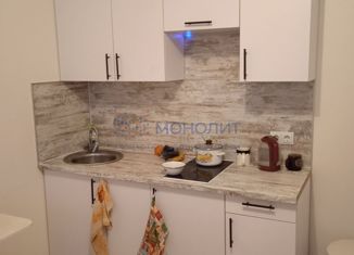 Квартира на продажу студия, 26.75 м2, деревня Анкудиновка, ЖК КМ Анкудиновский Парк