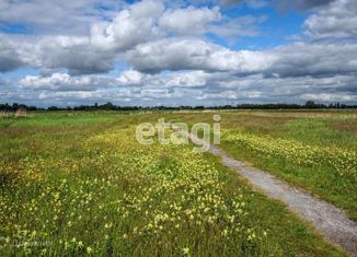 Продается участок, 320 сот., деревня Василёво