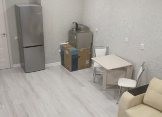 Квартира на продажу студия, 27.3 м2, Мурино, улица Шувалова, 46, ЖК Цвета радуги