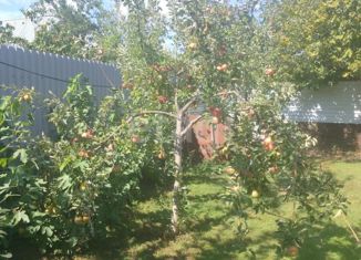 Продам участок, 20 сот., станица Абадзехская, Новая улица