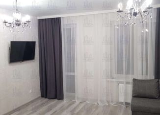 Сдам в аренду квартиру студию, 31 м2, Казань, улица Николая Ершова, 65Б/1, ЖК Нобелевский