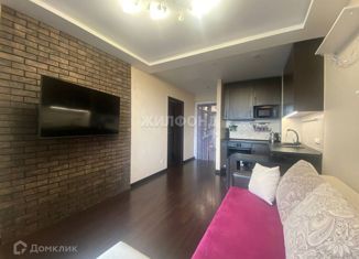 Продам квартиру студию, 40 м2, Новосибирск, 1-я Чулымская улица, 112/5, 1-я Чулымская улица