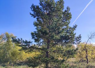 Участок на продажу, 7.5 сот., село Долгодеревенское, Центральная площадь