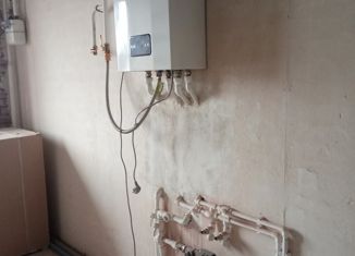 Двухкомнатная квартира на продажу, 51 м2, поселок Верхнетемерницкий, улица Венеры, 24к2, ЖК Спутник