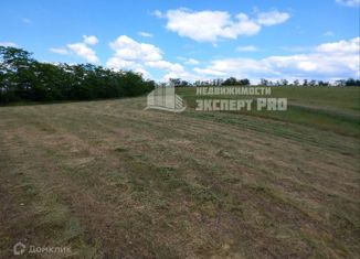 Продажа земельного участка, 121 сот., село Украинка, улица Мира, 14