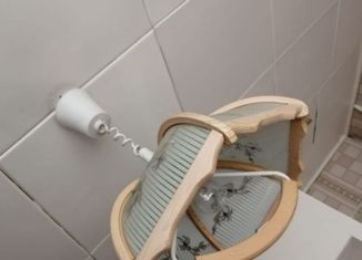 Продаю дом, 55.5 м2, село Песьяное, Зелёная улица, 38