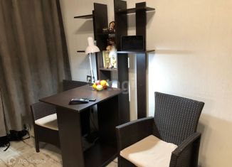 Продаю квартиру студию, 25.2 м2, село Тополево, Гаражная улица, 19