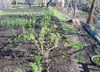 Продам дом, 26.1 м2, Белгород, Западный округ, Сумская улица