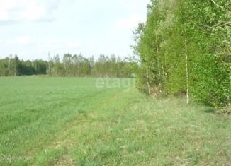 Продаю земельный участок, 366 сот., село Красная Гора