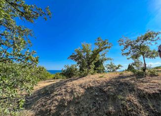 Продаю земельный участок, 5 сот., село Приветное