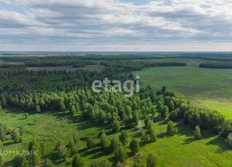 Продам земельный участок, 15.8 сот., село Каменка, Школьная улица