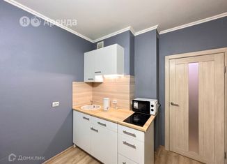 Сдаю квартиру студию, 20 м2, Мурино, улица Шувалова, 19к2, ЖК Краски Лета