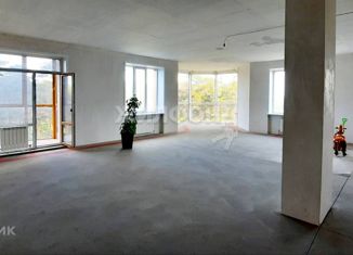 Продается четырехкомнатная квартира, 150 м2, Новосибирск, улица Богдана Хмельницкого, 11/3, улица Богдана Хмельницкого