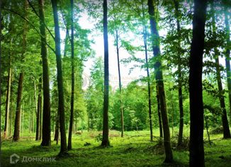 Продажа земельного участка, 9.81 сот., Ревда, Хвойная улица