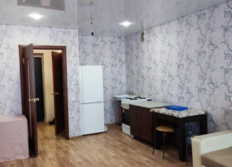 Квартира на продажу студия, 30.9 м2, село Дмитриевка, Яблоневая улица, 32