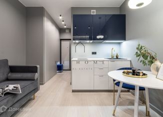 Сдается в аренду квартира студия, 26 м2, Санкт-Петербург, улица Савушкина, 104, ЖК Елагин Апарт