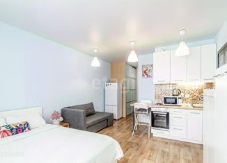 Продажа квартиры студии, 28 м2, Самара, Ново-Садовая улица, 201, метро Российская