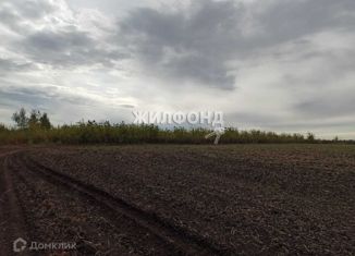 Продается земельный участок, 112 сот., село Криводановка, Садовая улица