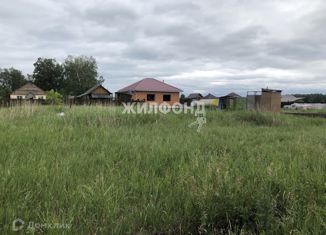 Участок на продажу, 6.07 сот., садовые участки Березка-3