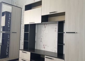 Сдается квартира студия, 24.5 м2, Мурино, Воронцовский бульвар, 19к1, ЖК Материк