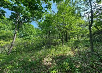 Земельный участок на продажу, 10 сот., Артём, СТ Светофор-2, 79