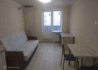 Продается квартира студия, 22.3 м2, Саратов, Огородная улица, 155, Заводской район