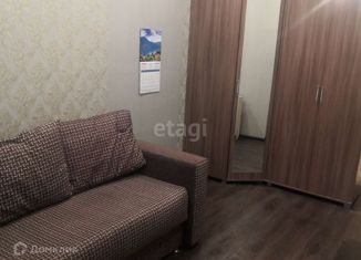 Аренда 1-комнатной квартиры, 24 м2, село Каменка, микрорайон Олимпийской славы, 2
