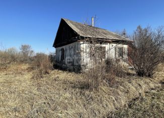 Продажа дома, 33.5 м2, село Новосысоевка, Центральная улица