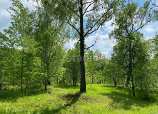 Продаю земельный участок, 1429.2 сот., деревня Марьино