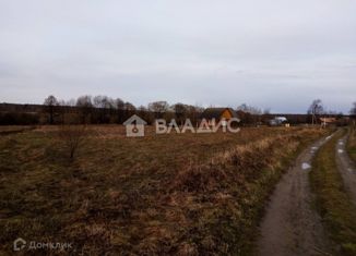 Земельный участок на продажу, 20 сот., деревня Никитино